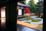 廬山寺 源氏庭の紅葉と御黒戸