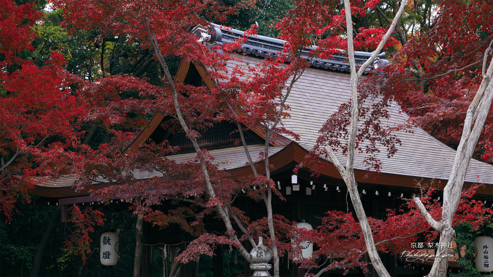 梨木神社 紅葉と拝殿