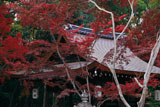 梨木神社 紅葉と拝殿