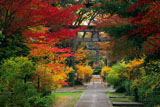 梨木神社 紅葉の参道