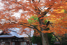 藤森神社