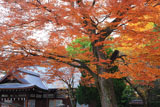藤森神社