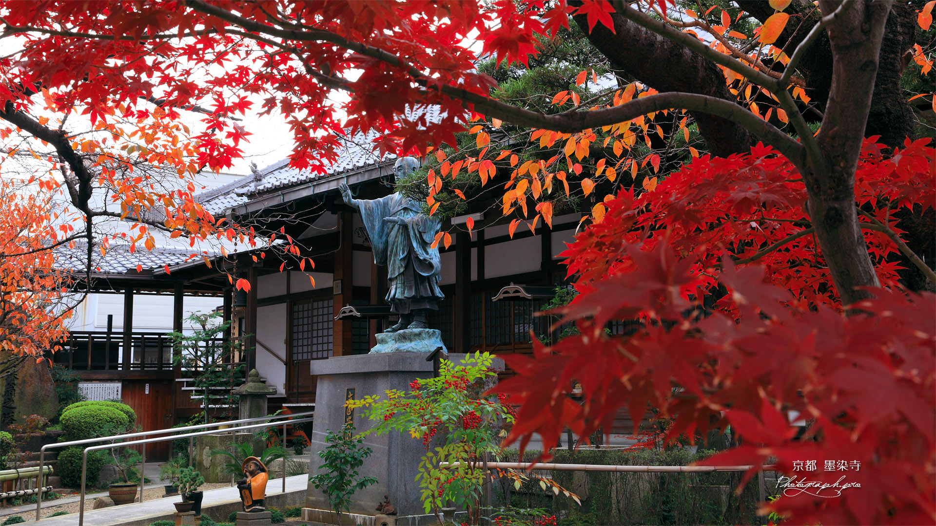 墨染寺 紅葉越しの本堂