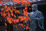 墨染寺 桜紅葉越しの日蓮像