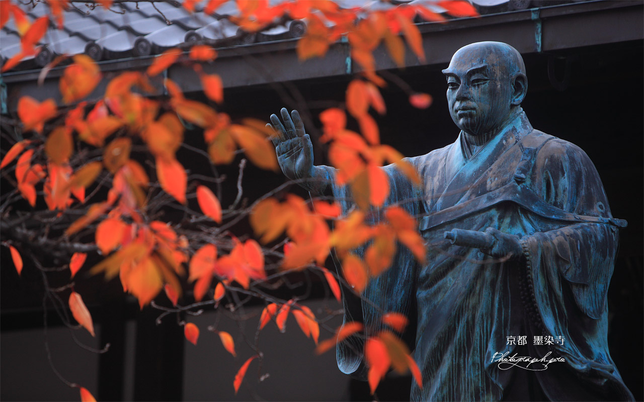 墨染寺 桜紅葉越しの日蓮像 壁紙