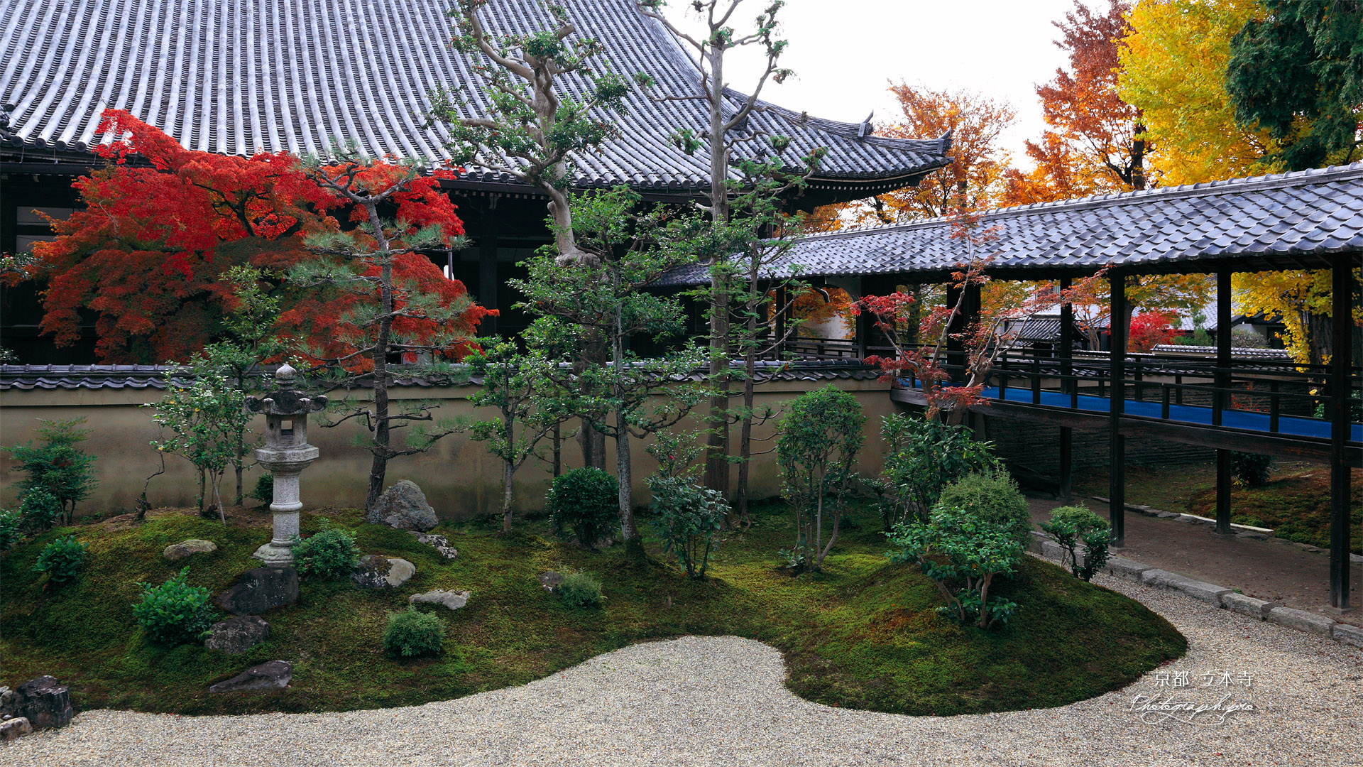 立本寺 南庭と本堂