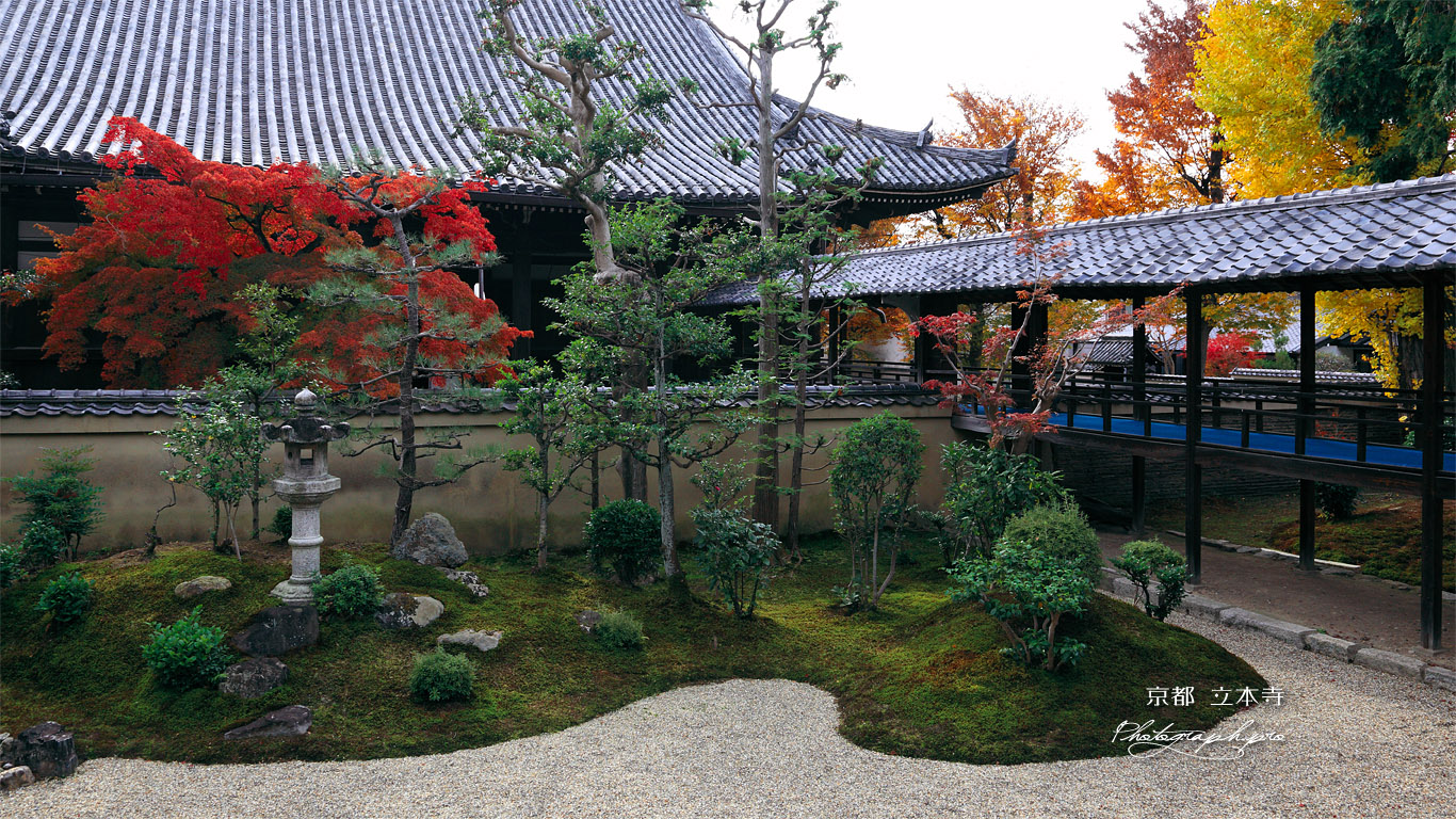 立本寺 南庭と本堂 壁紙