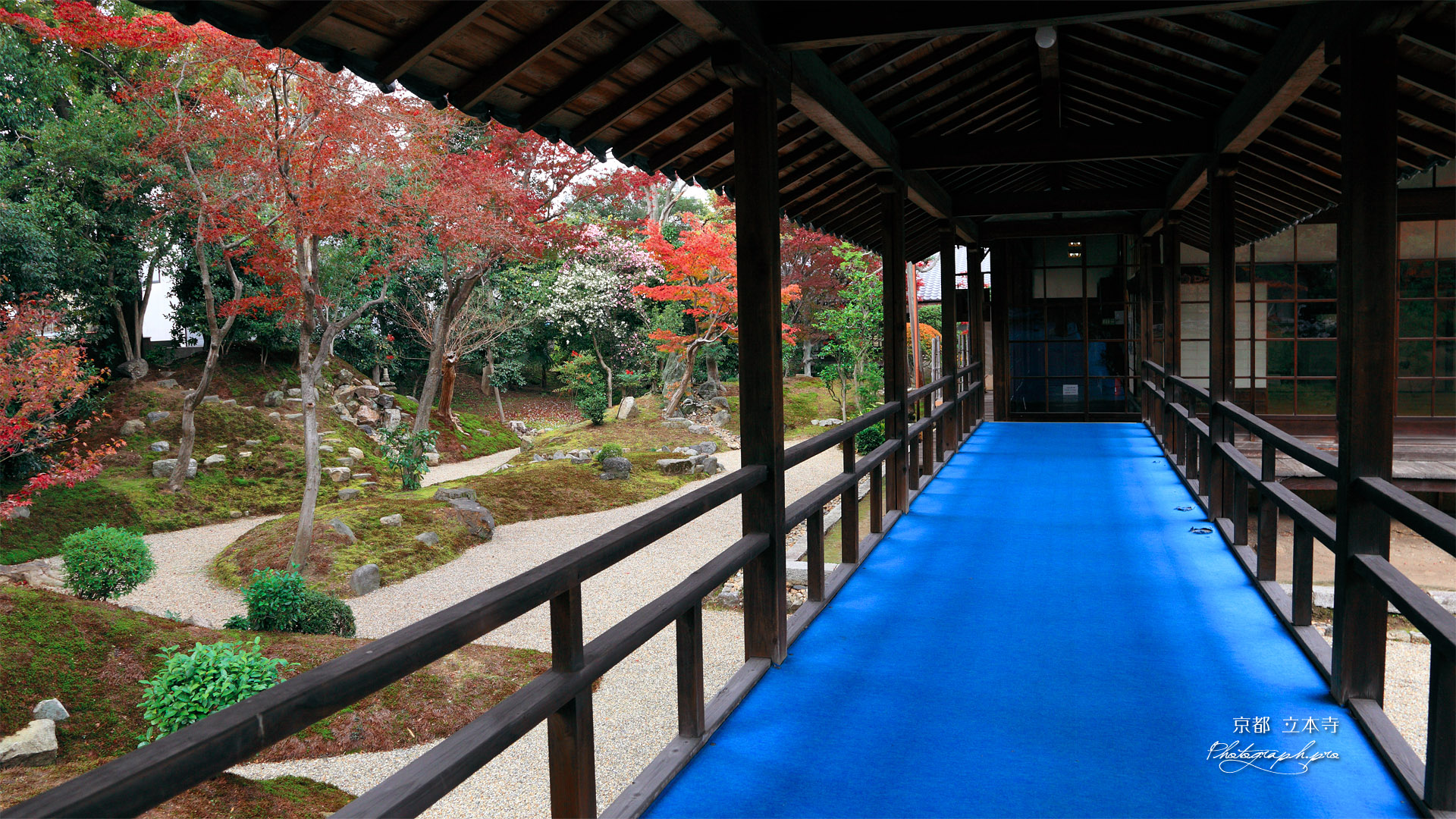 立本寺 紅葉の西庭