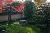 天得院 山茶花と紅葉