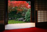 天得院 方丈から紅葉の西庭
