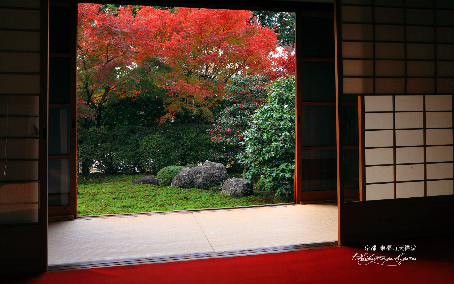 天得院 方丈から紅葉の西庭