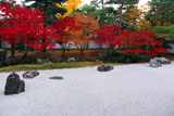 相国寺 紅葉の開山堂南庭