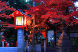 三宅八幡宮 灯籠と紅葉