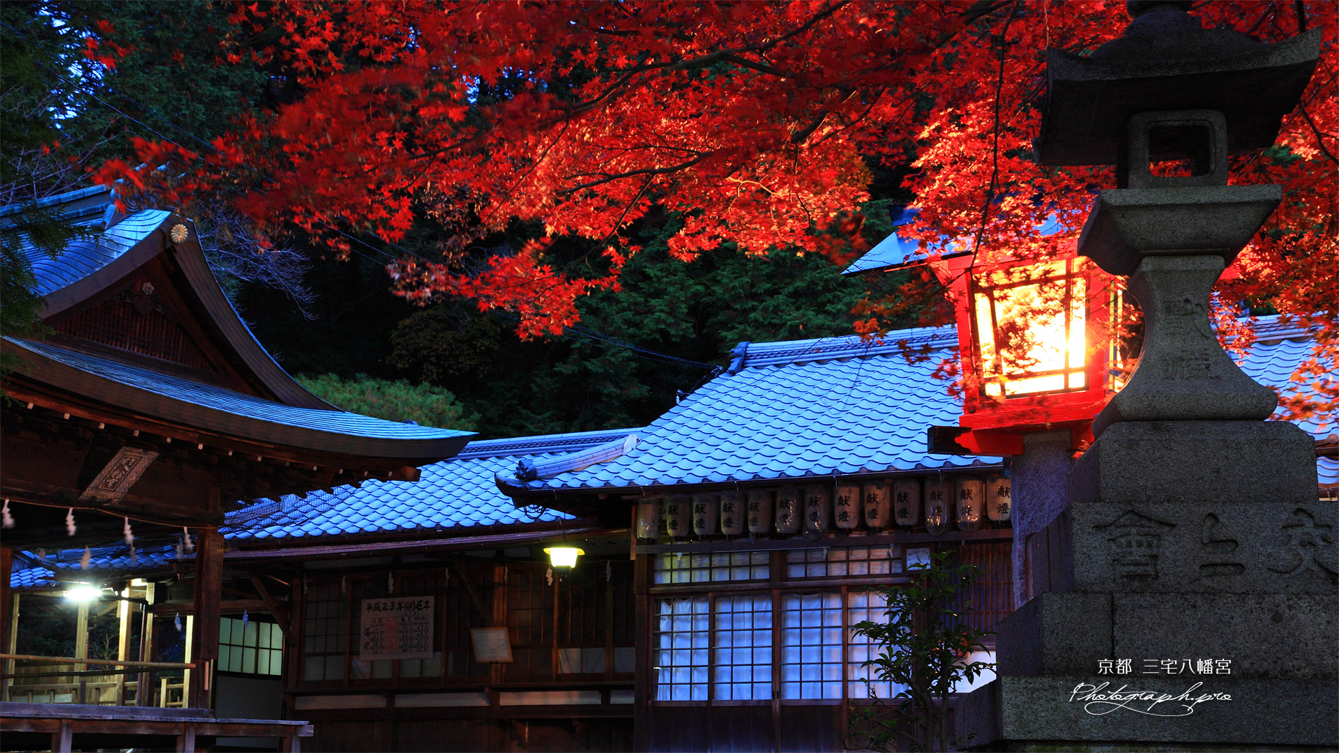 三宅八幡宮 紅葉と拝殿