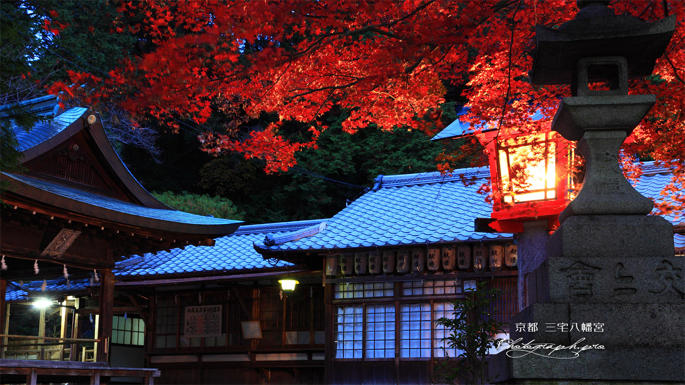三宅八幡宮 紅葉と拝殿 壁紙