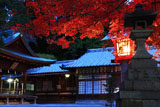 三宅八幡宮 紅葉と拝殿