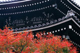 京都六角堂 紅葉と本堂