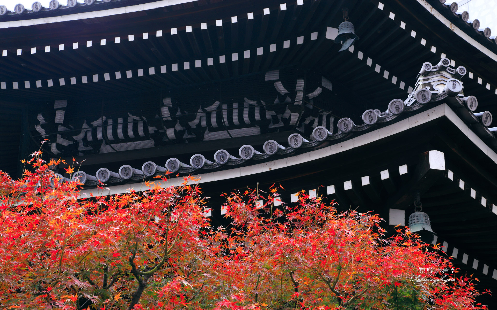 京都六角堂 紅葉と本堂