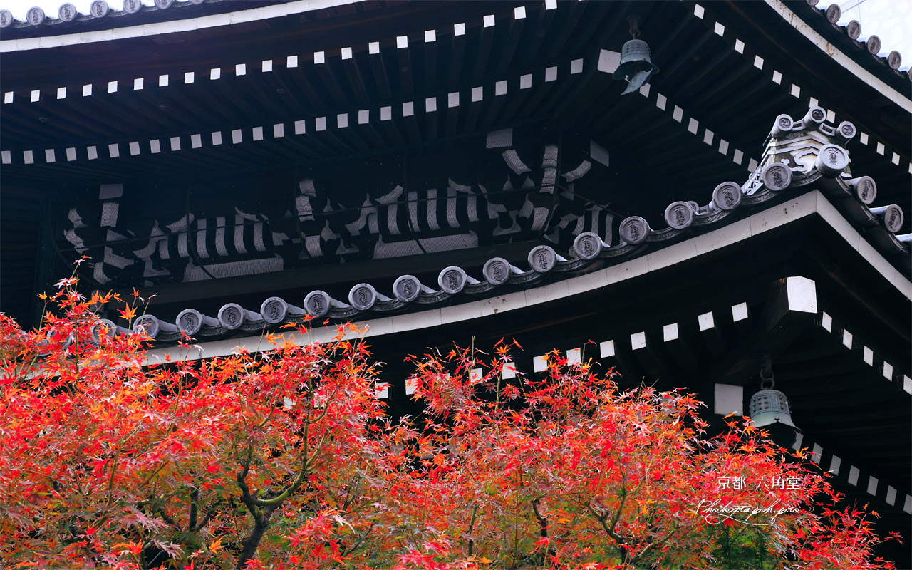 京都六角堂 紅葉と本堂 壁紙