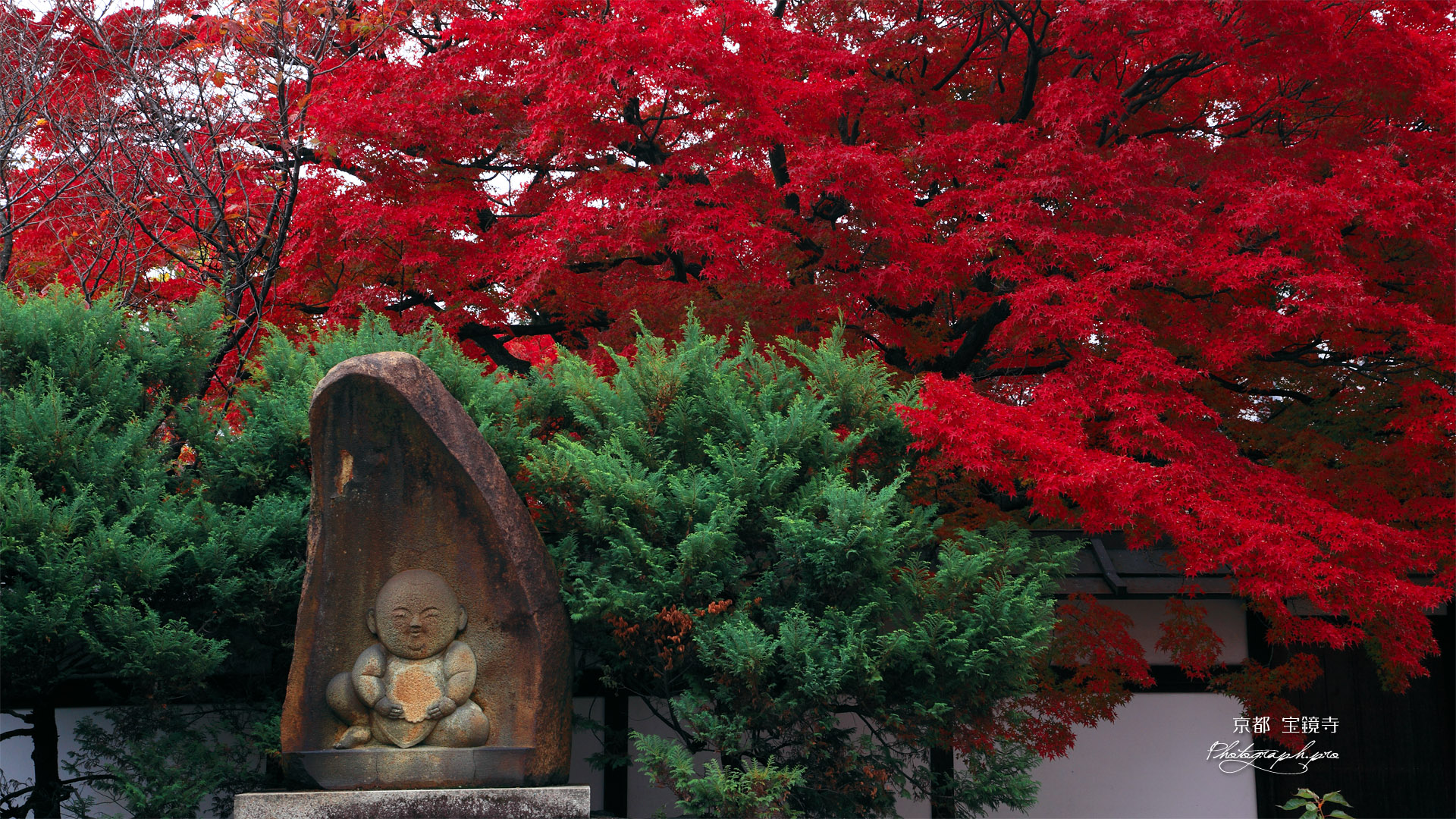 宝鏡寺 人形塚と紅葉