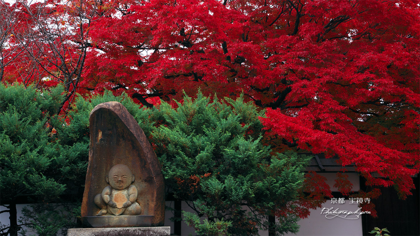宝鏡寺 人形塚と紅葉 壁紙