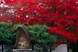 宝鏡寺 人形塚と紅葉