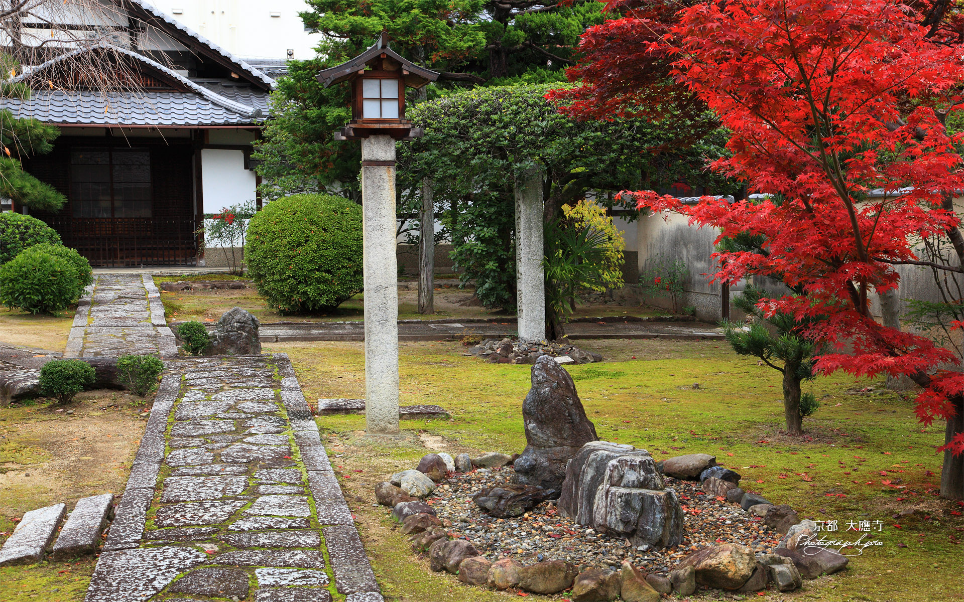 大應寺 紅葉と庫裏