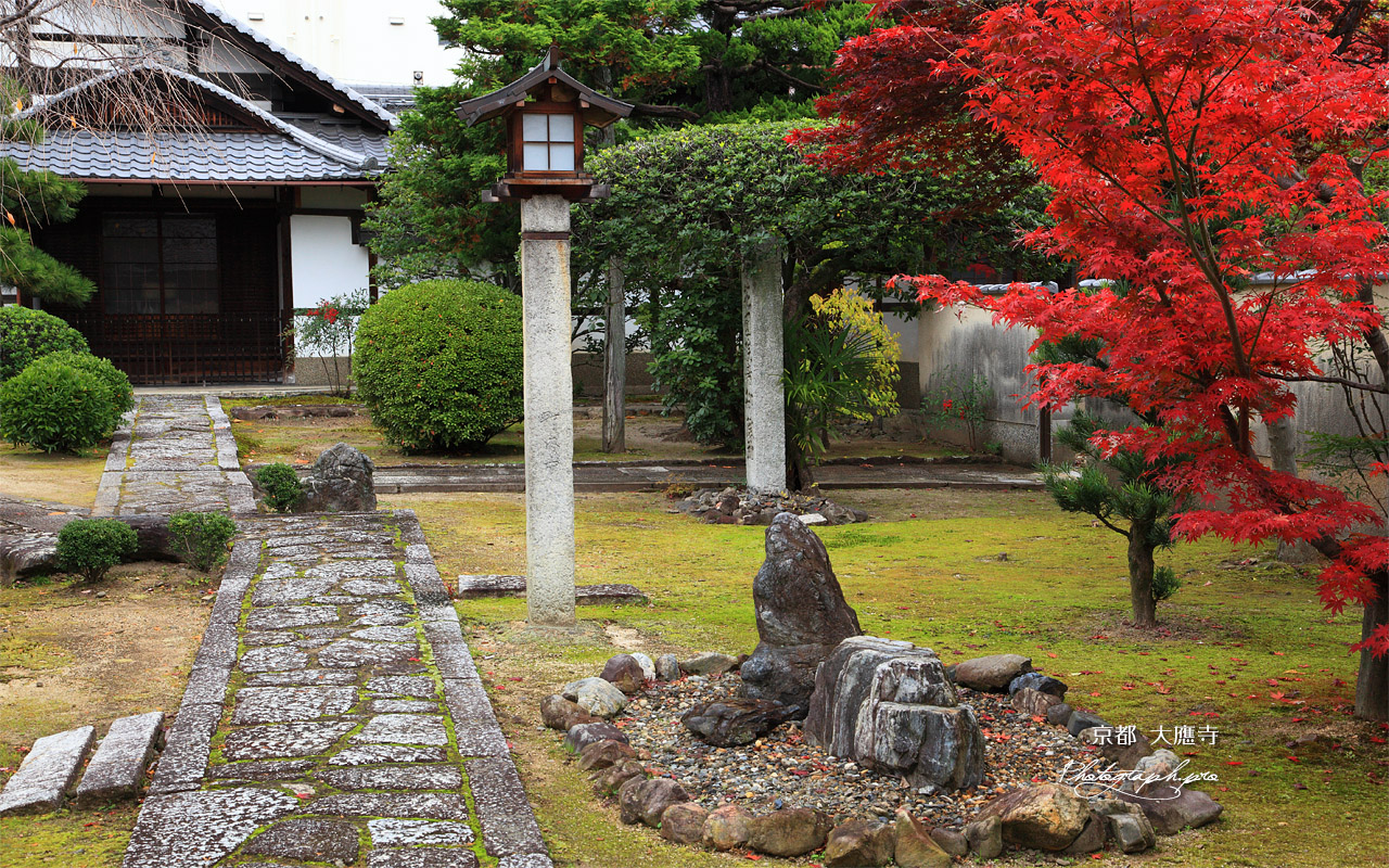 大應寺 紅葉と庫裏 壁紙
