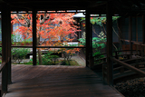 本法寺 渡り廊下からの紅葉