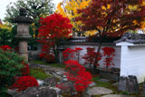 京都慈受院 庭園の紅葉