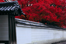 宝鏡寺
