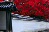 宝鏡寺