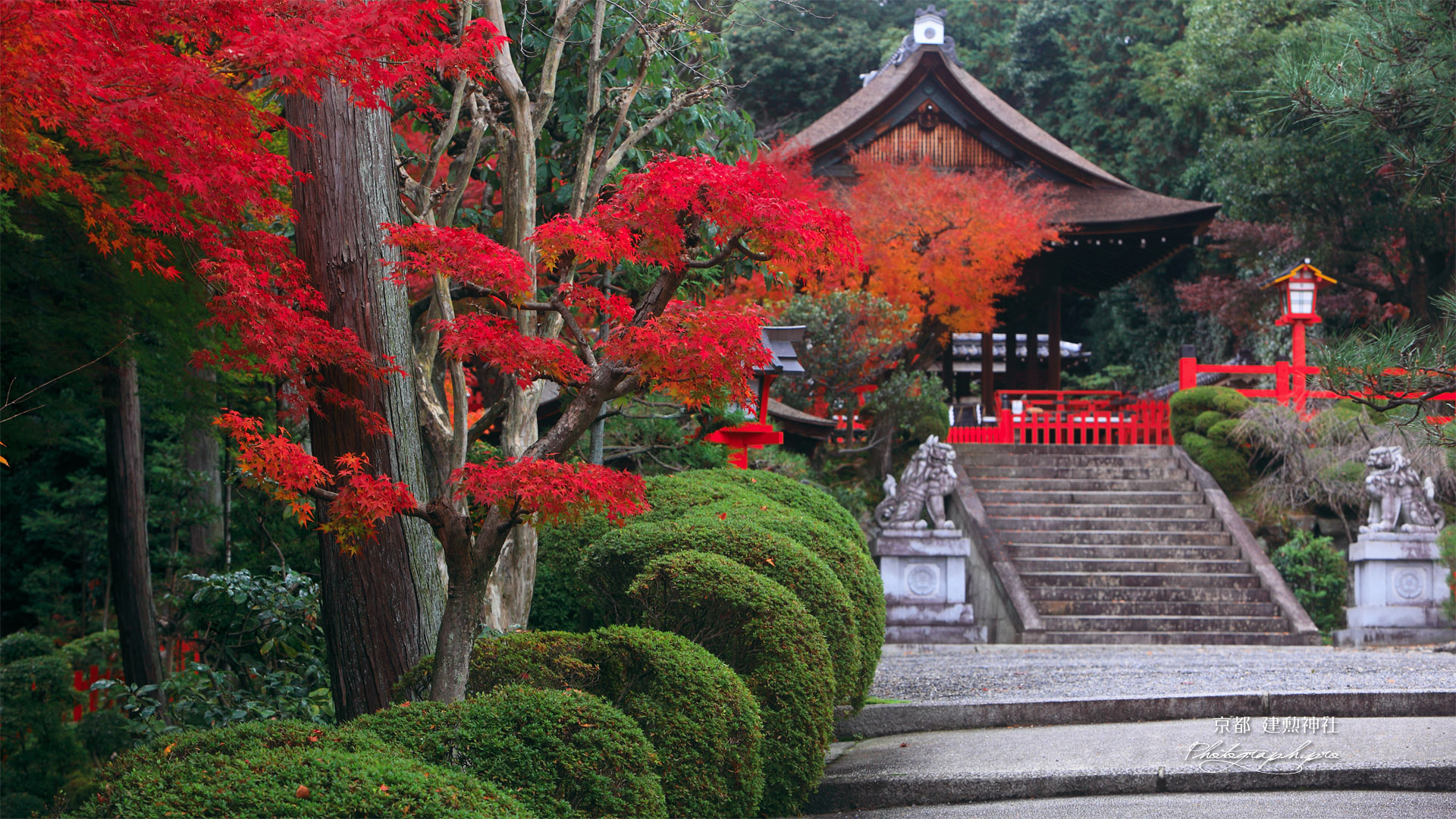 建勲神社 紅葉と拝殿
