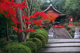 建勲神社 紅葉と拝殿