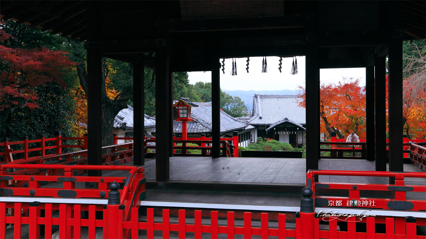 建勲神社 拝殿と紅葉の社殿 壁紙