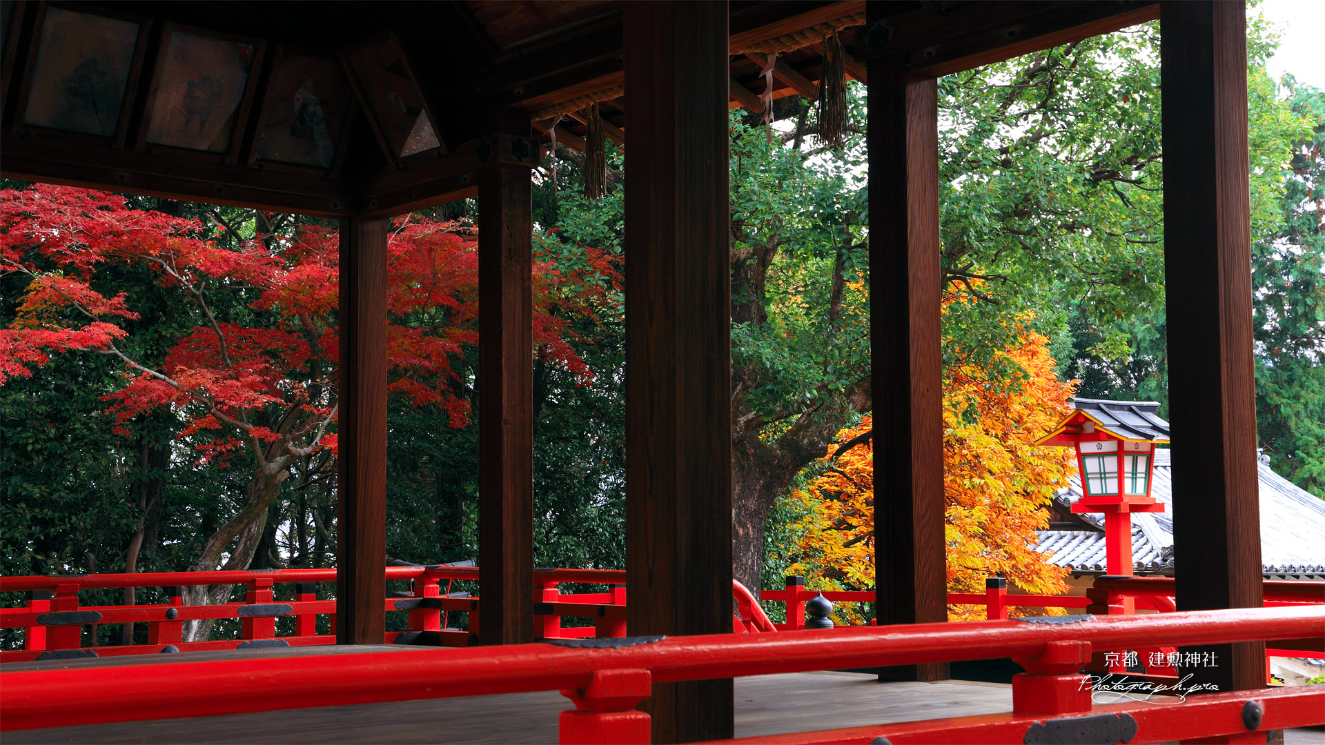 建勲神社 拝殿越しの紅葉