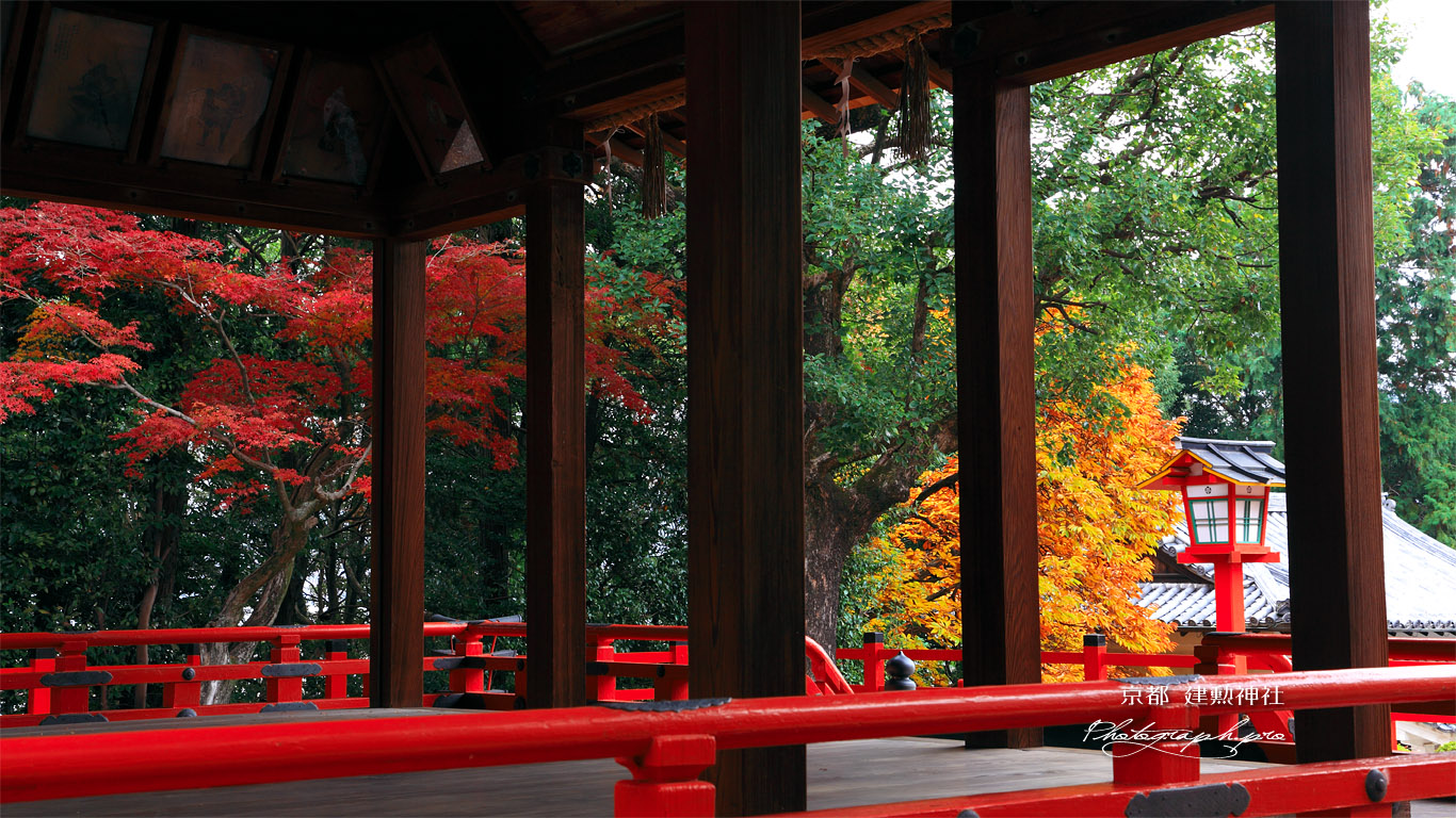 建勲神社 拝殿越しの紅葉 壁紙