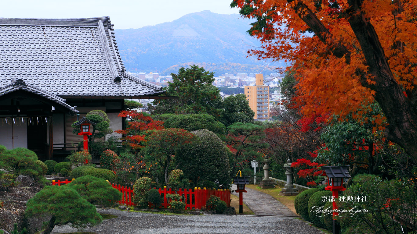 建勲神社 紅葉と貴賓館 壁紙