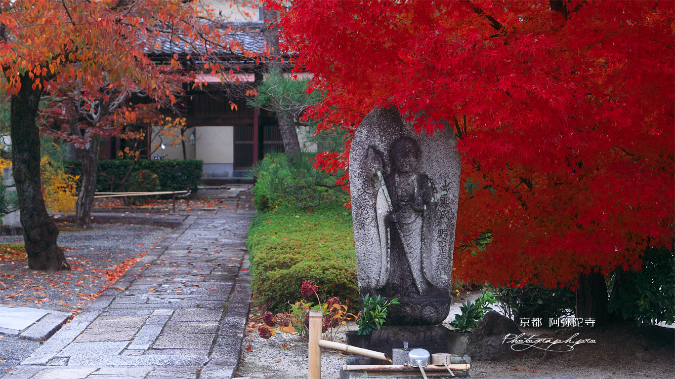 阿弥陀寺 石仏に楓紅葉と桜紅葉 壁紙