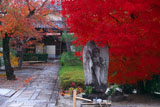 阿弥陀寺