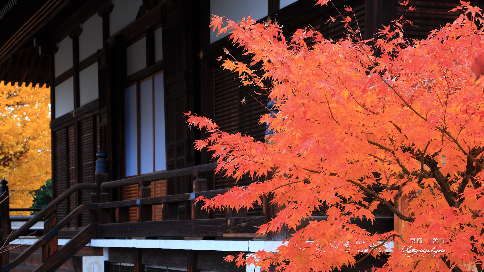 京都上善寺 紅葉と本堂