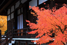 上善寺