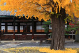 本隆寺