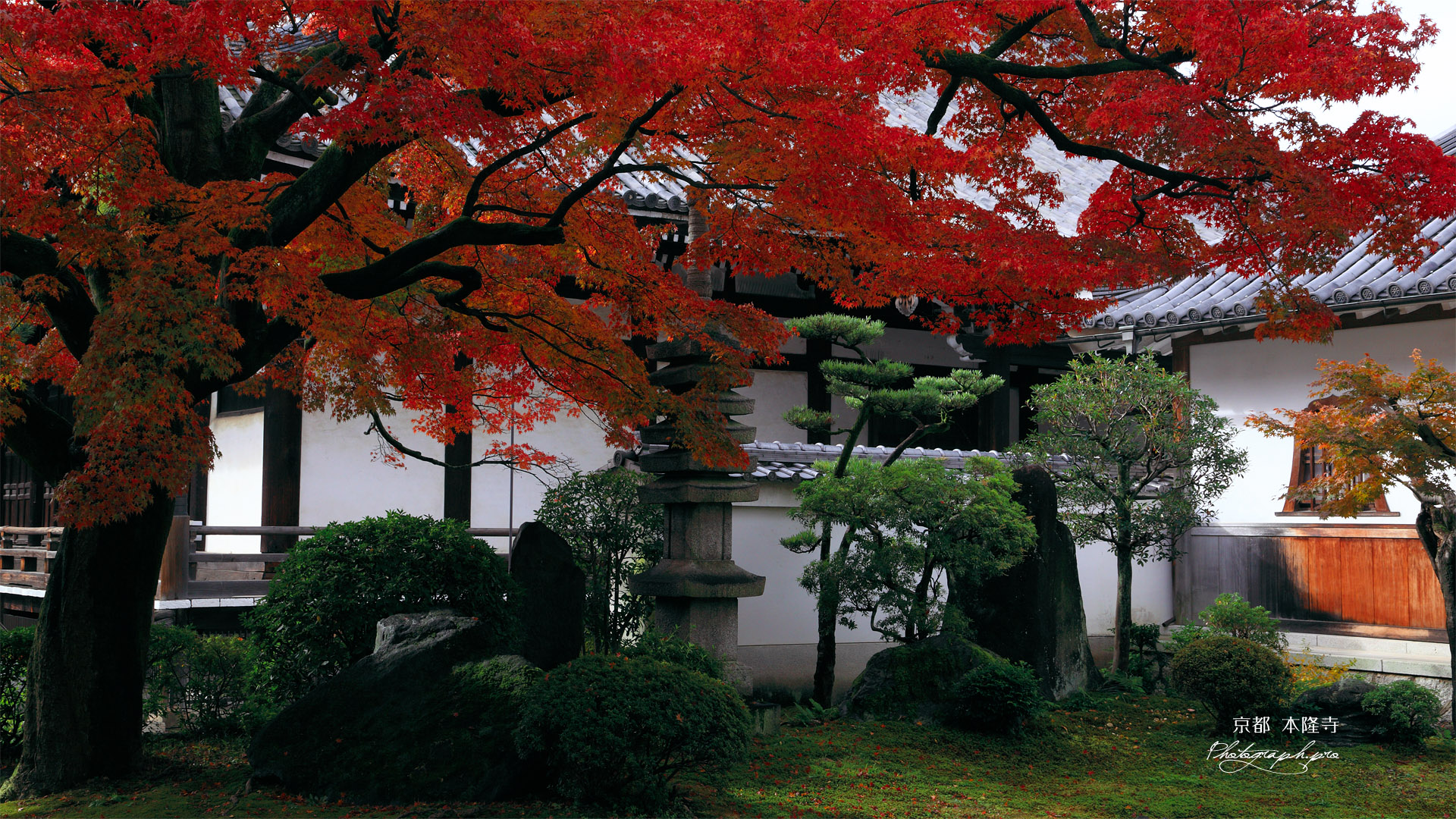 本隆寺 紅葉と本堂