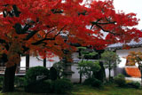本隆寺 紅葉と本堂