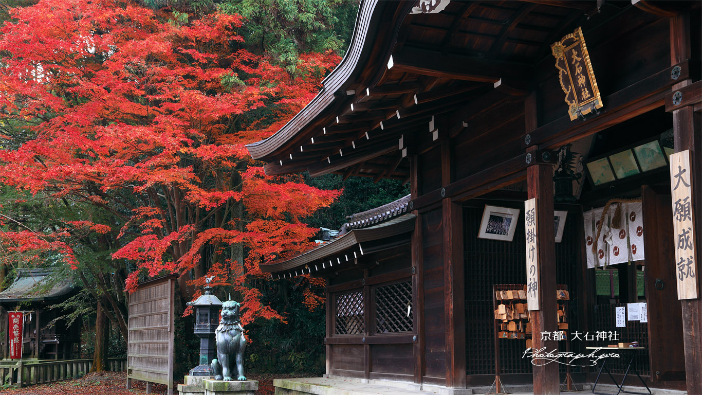 大石神社 拝殿と紅葉 壁紙
