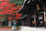 大石神社 拝殿と紅葉