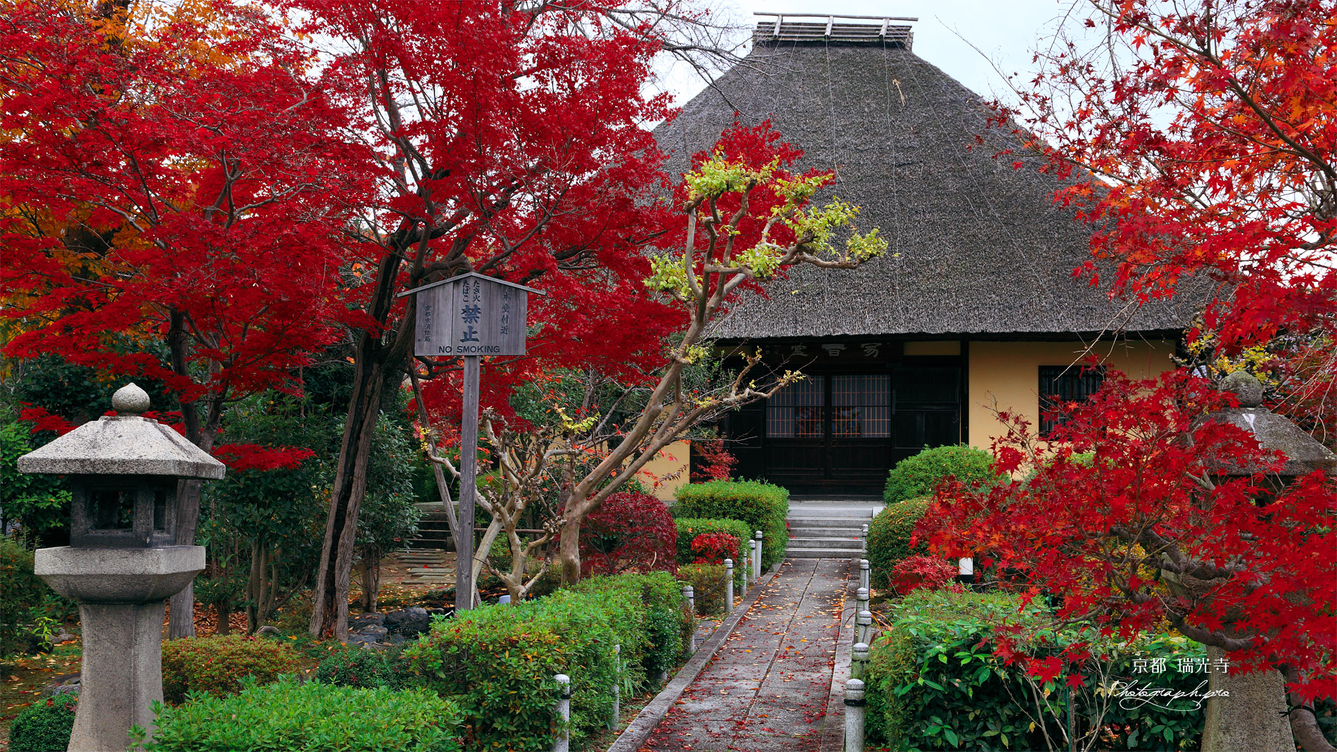 京都瑞光寺 紅葉と本堂