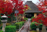 京都瑞光寺 紅葉と本堂