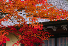 瑞光寺